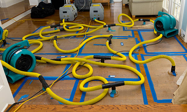 Professional Structural Drying And Dehumidification technician working in Running Springs, CA